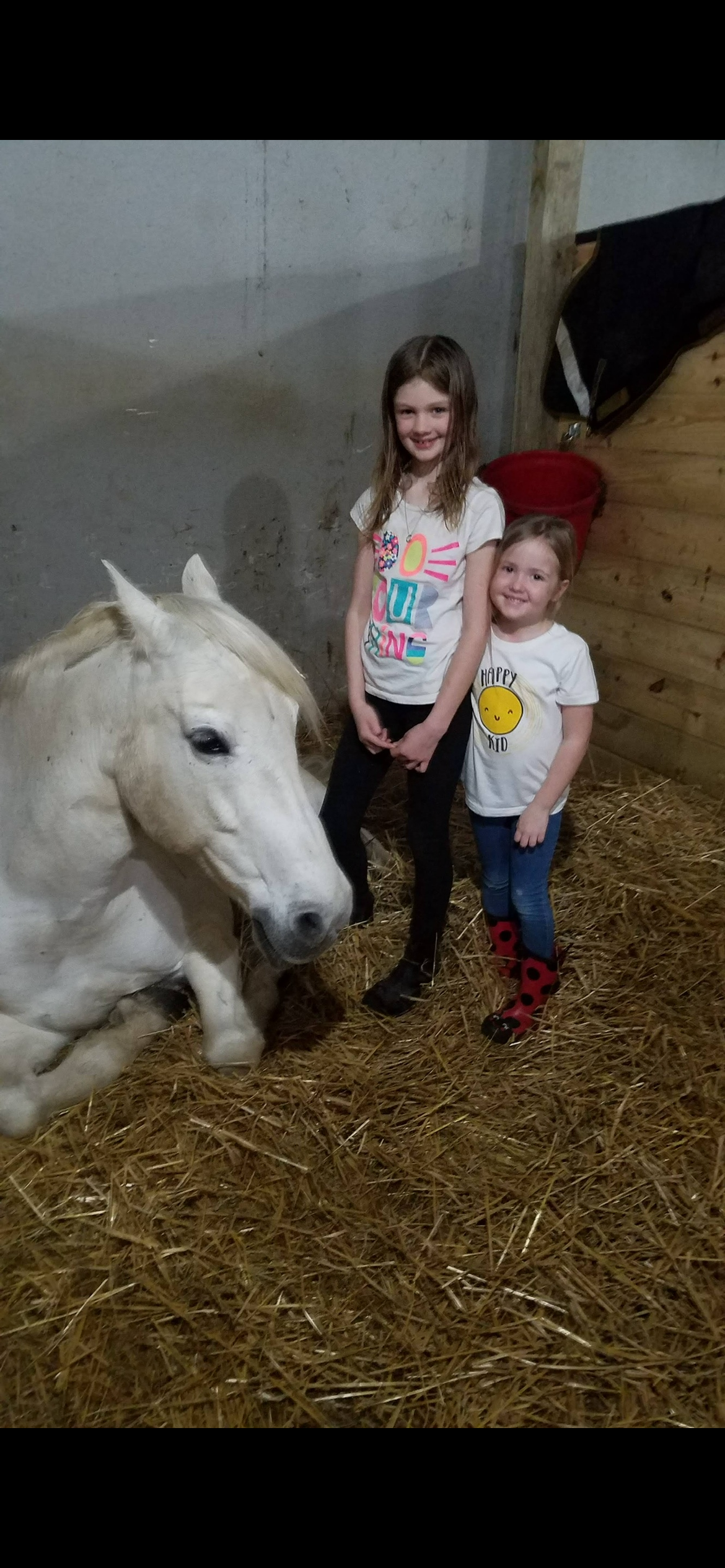 Lily with animals at the barn