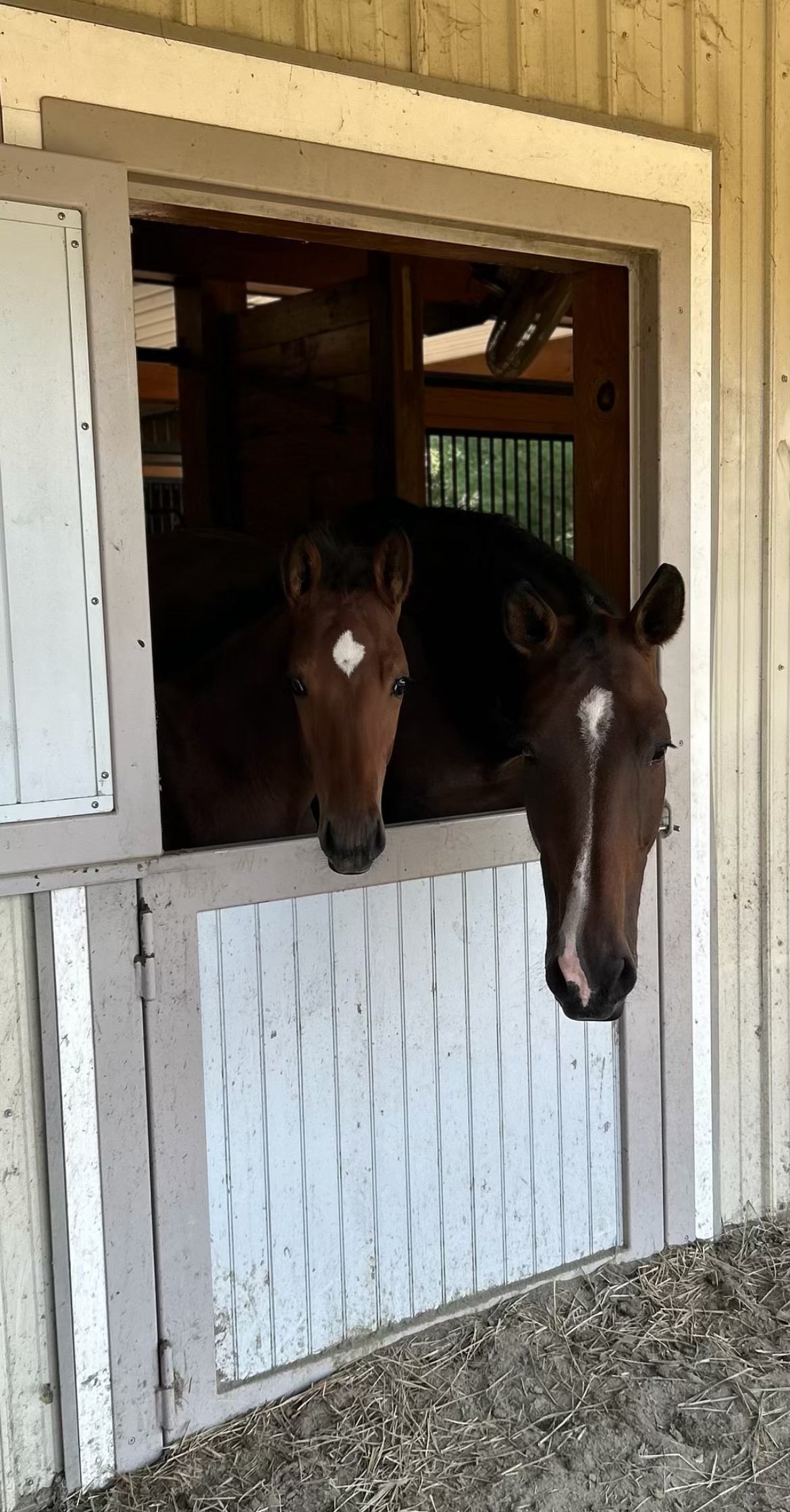 Charlie and Lexi together