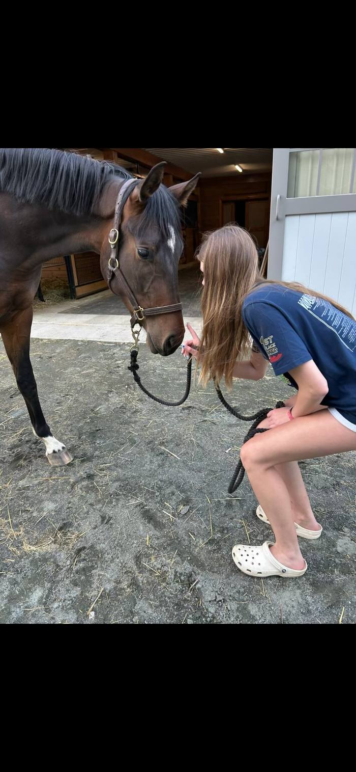 Lily and Rhoslyn nose to nose