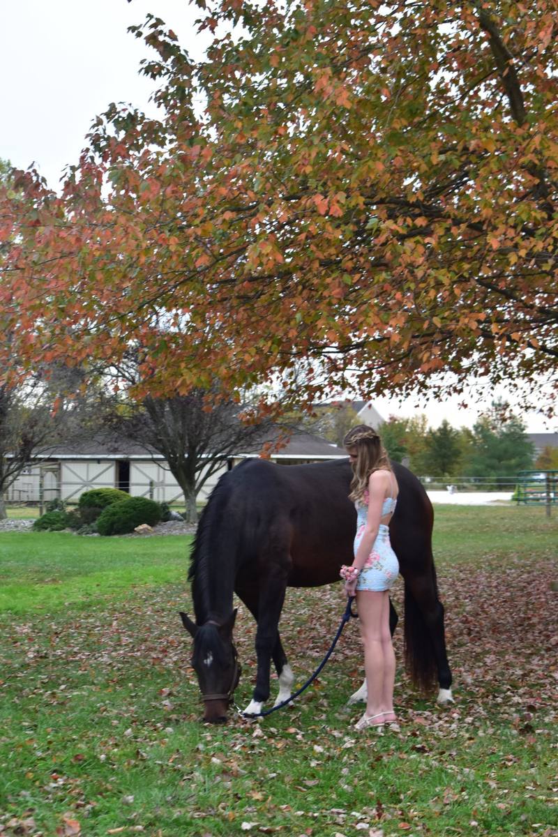 Lily with Rhoslyn in fall colors