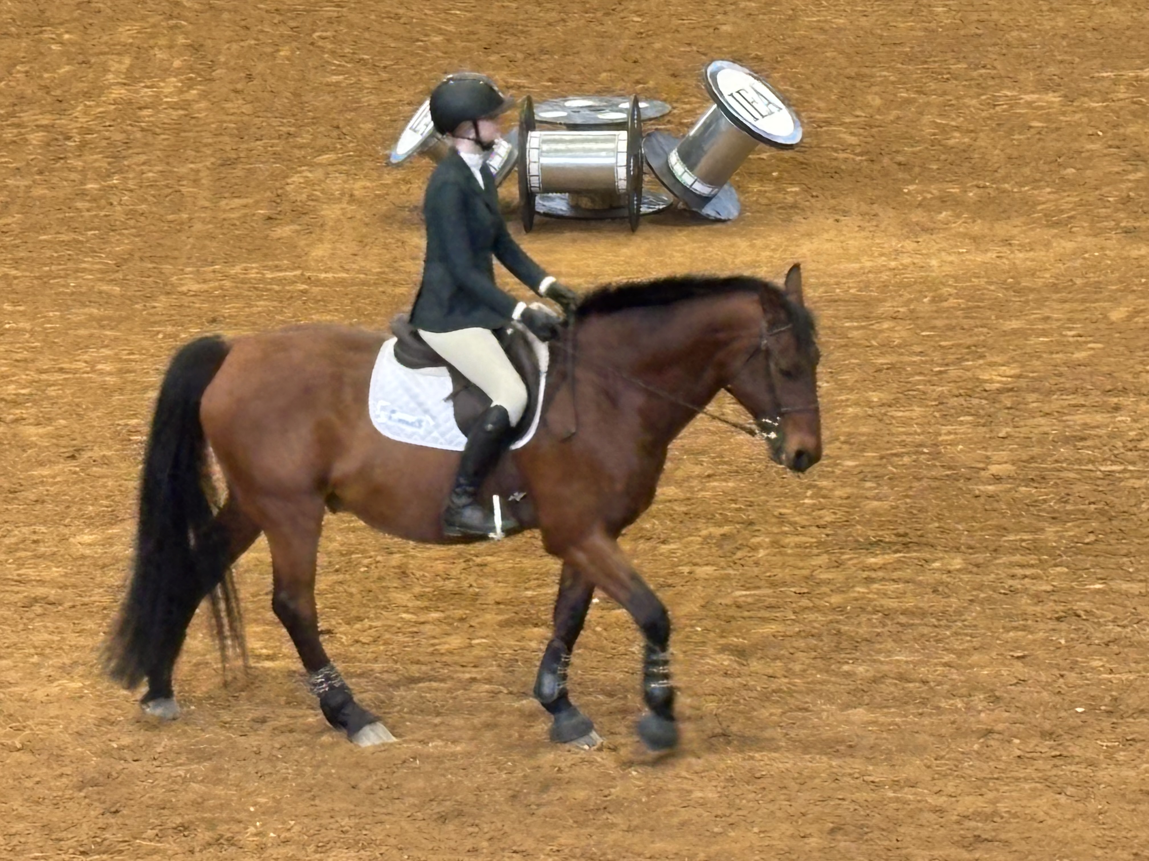 Lily competing at Zone 3 Finals