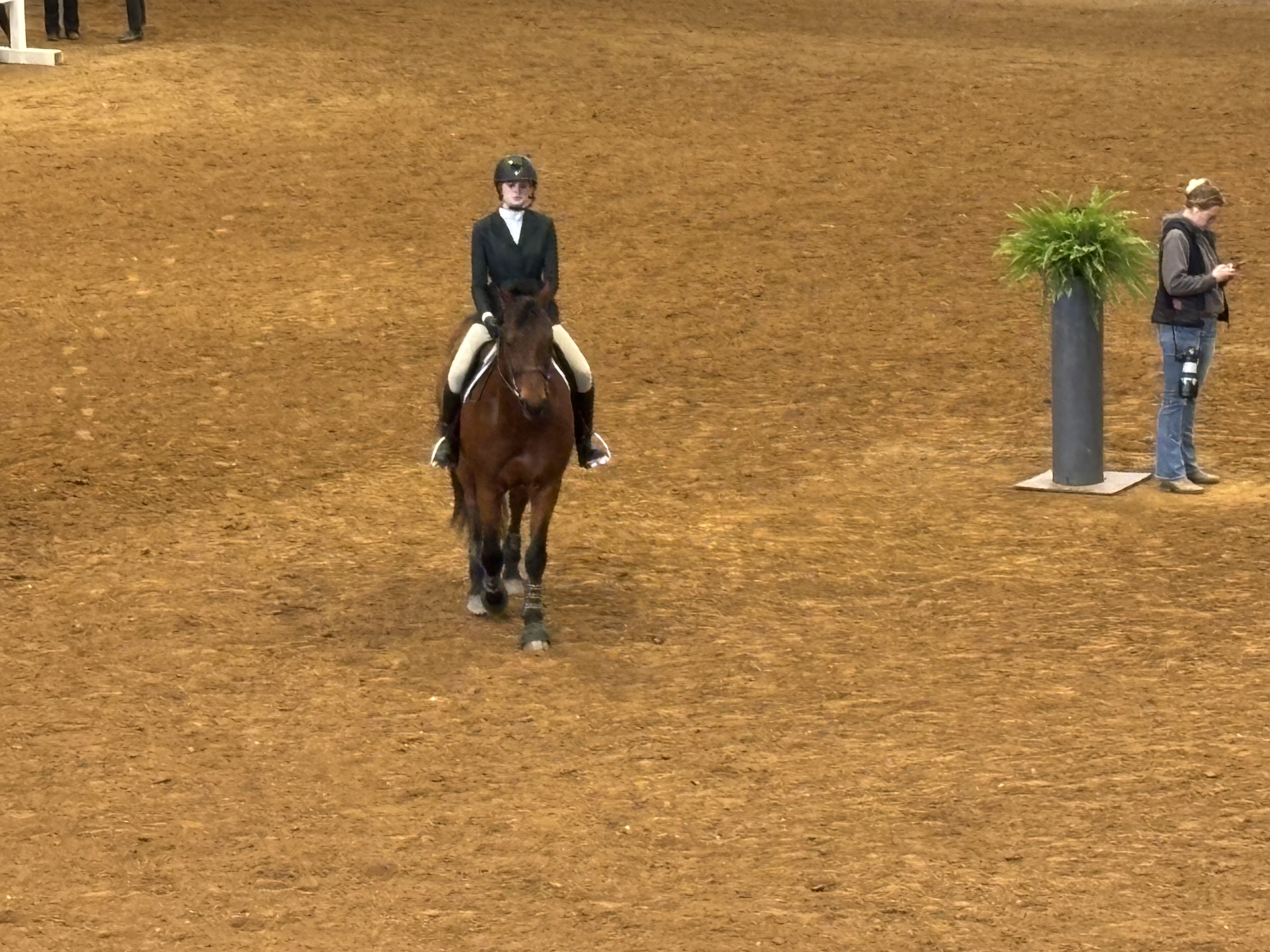 Lily competing at Zone 3 Finals