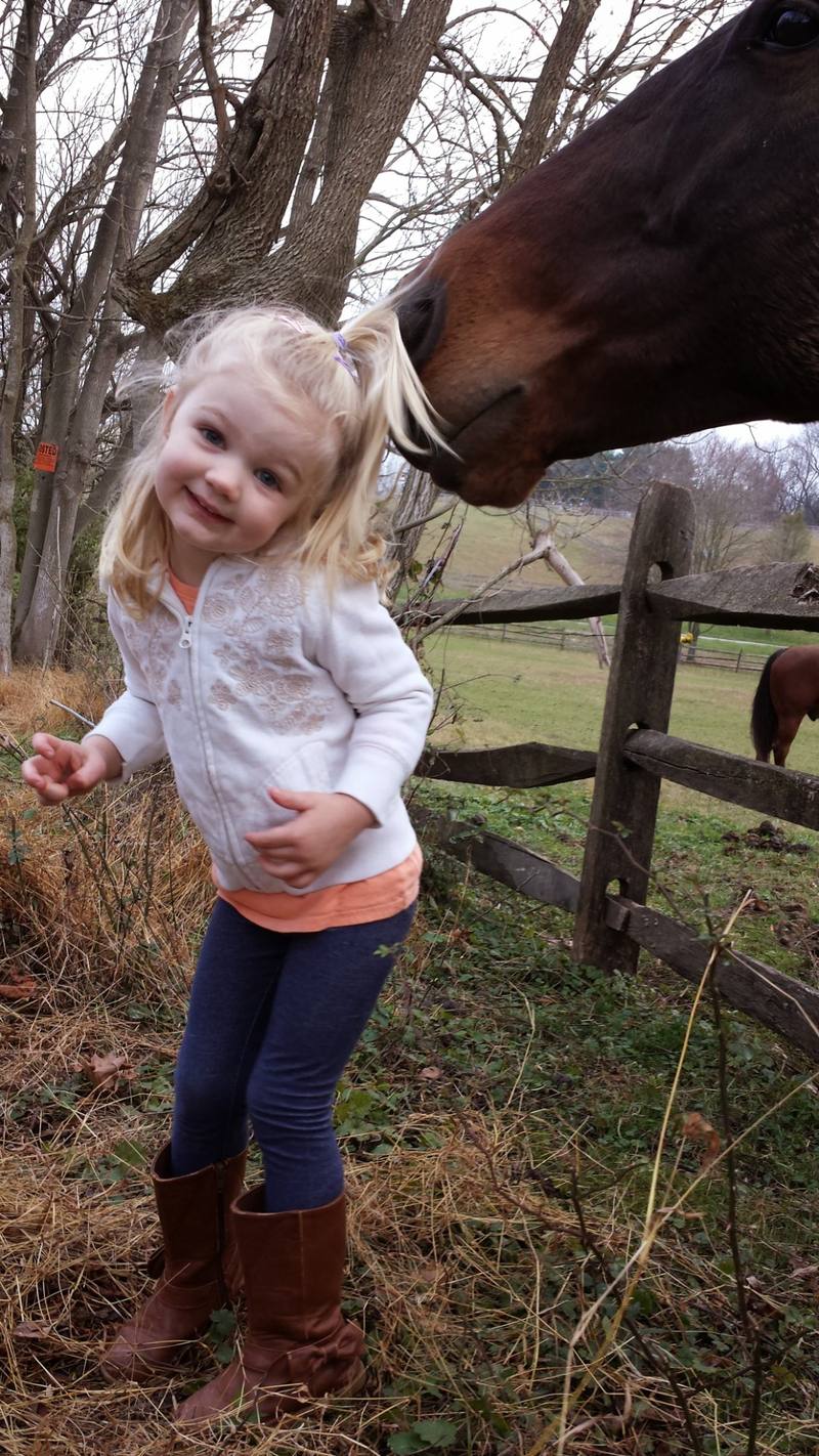 A horse nuzzles little Lily over the fence