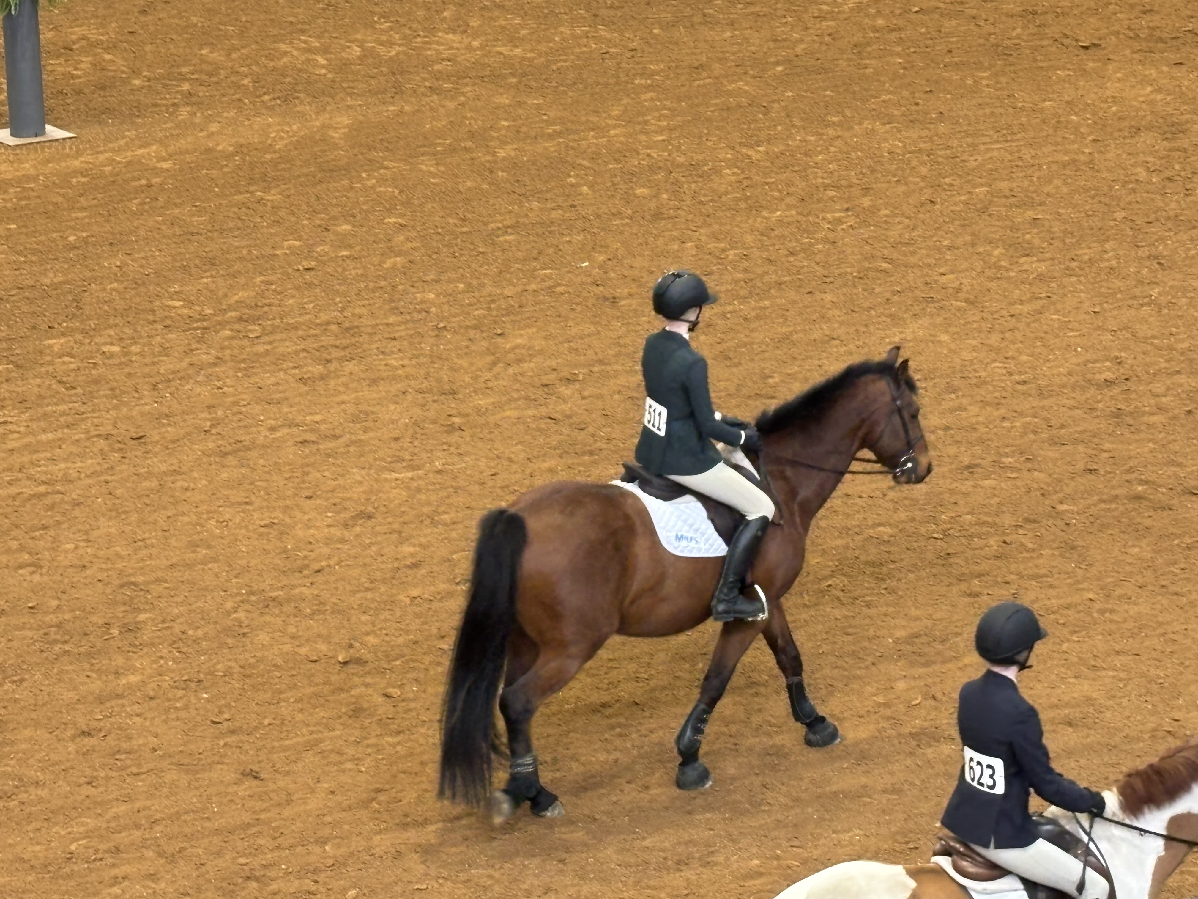 Lily competing at Zone 3 Finals