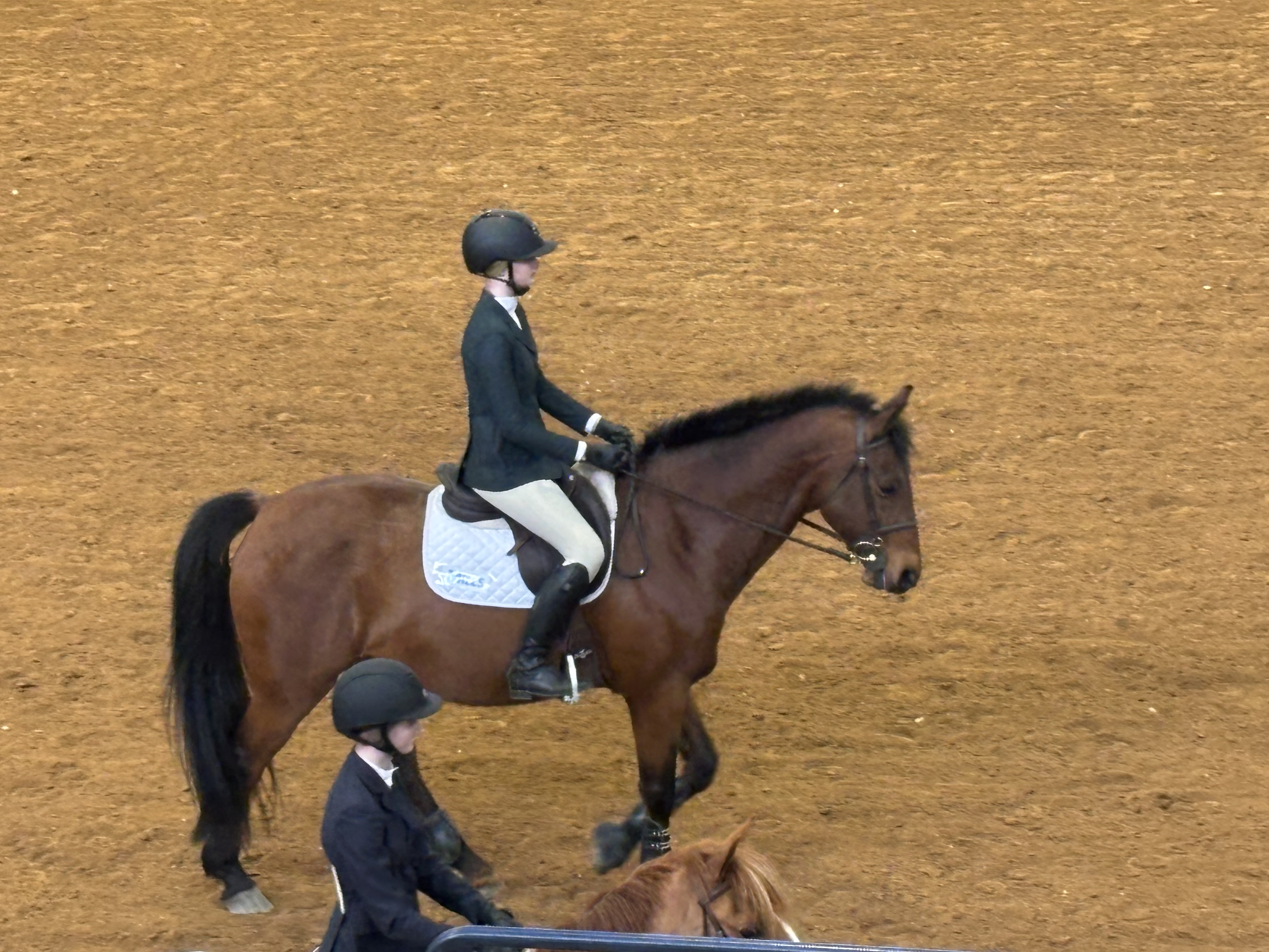 Lily competing at Zone 3 Finals