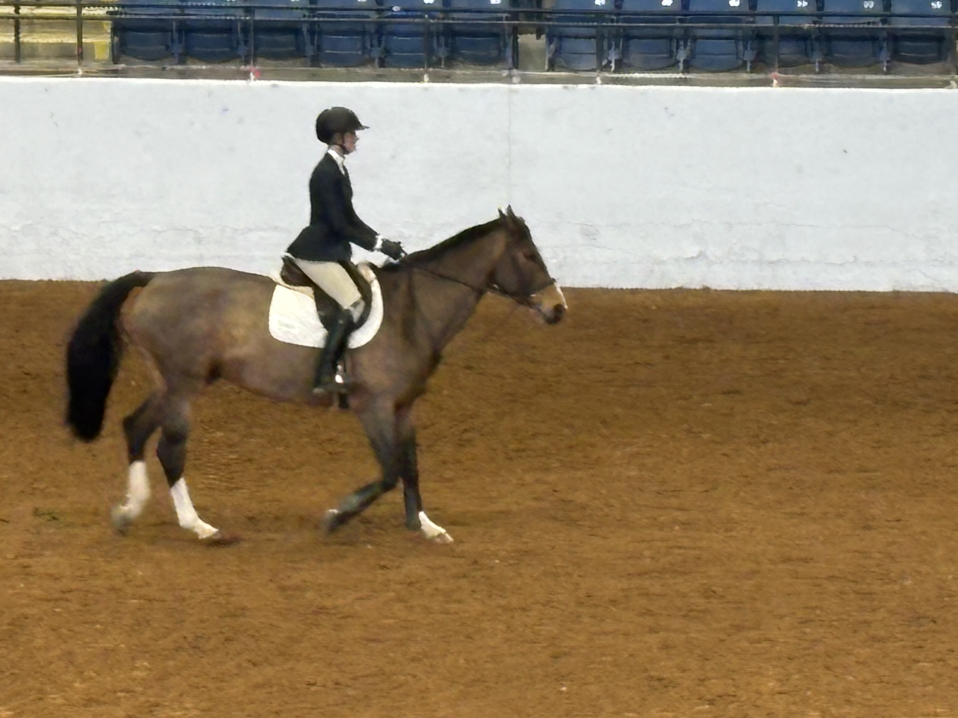 Lily competing at Zone 3 Finals