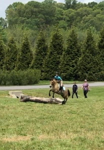 Lily and Daisy at Hidden Pond Farm