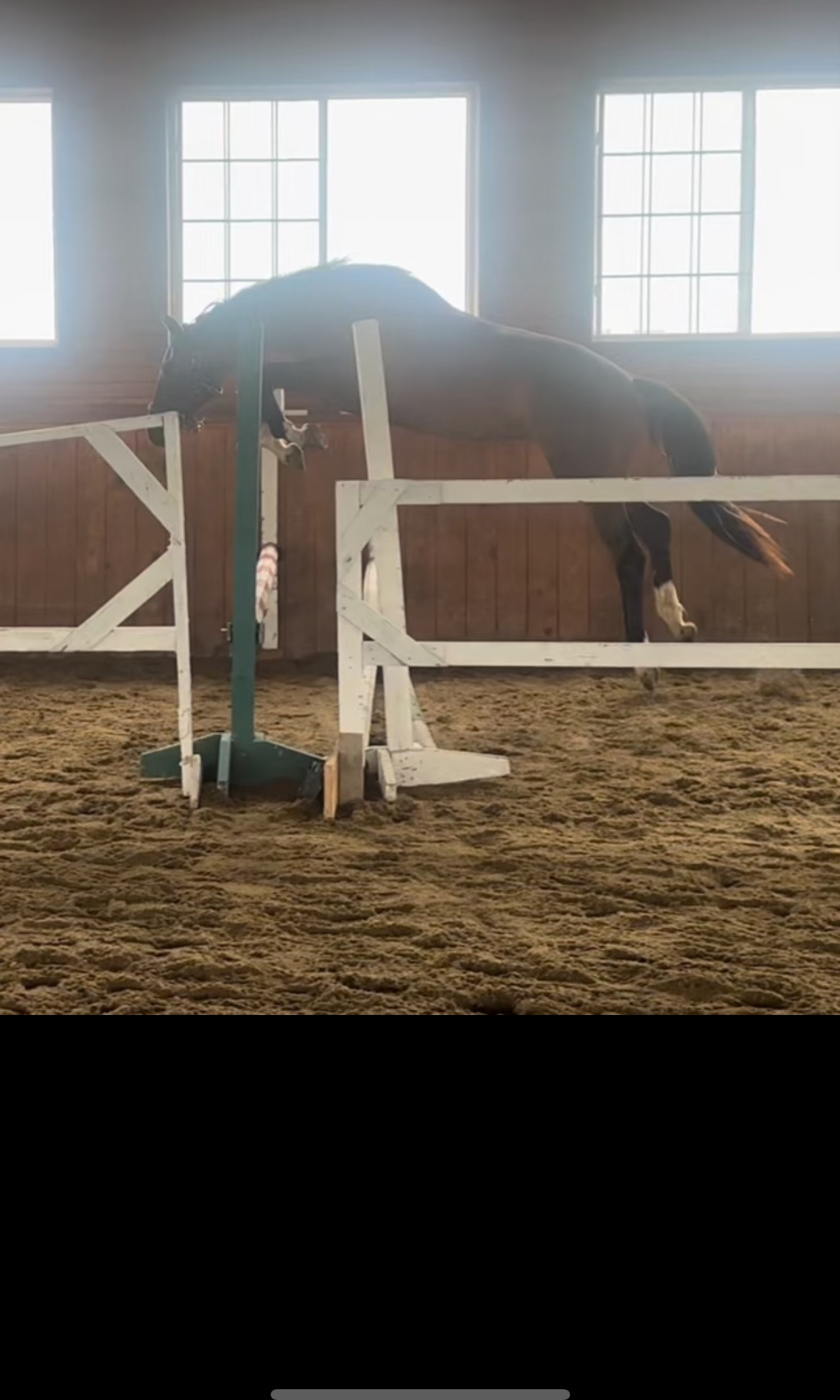 Rhoslyn jumping in the arena